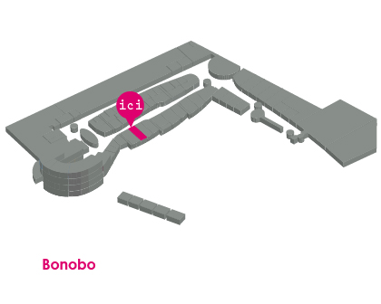 bonobo-plan-01