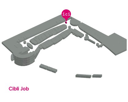 Cibli job