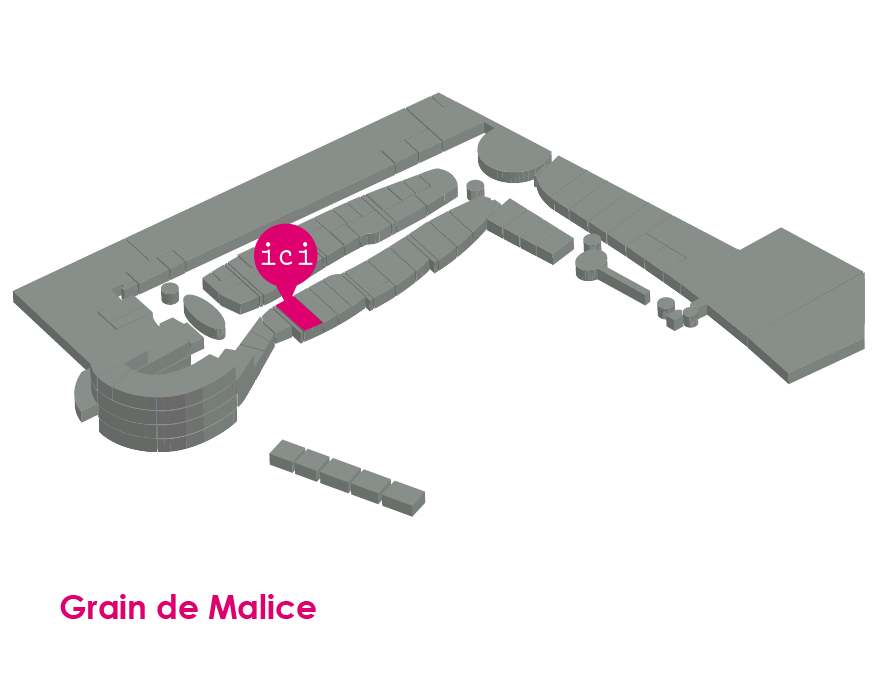 Grain de Malice Plan